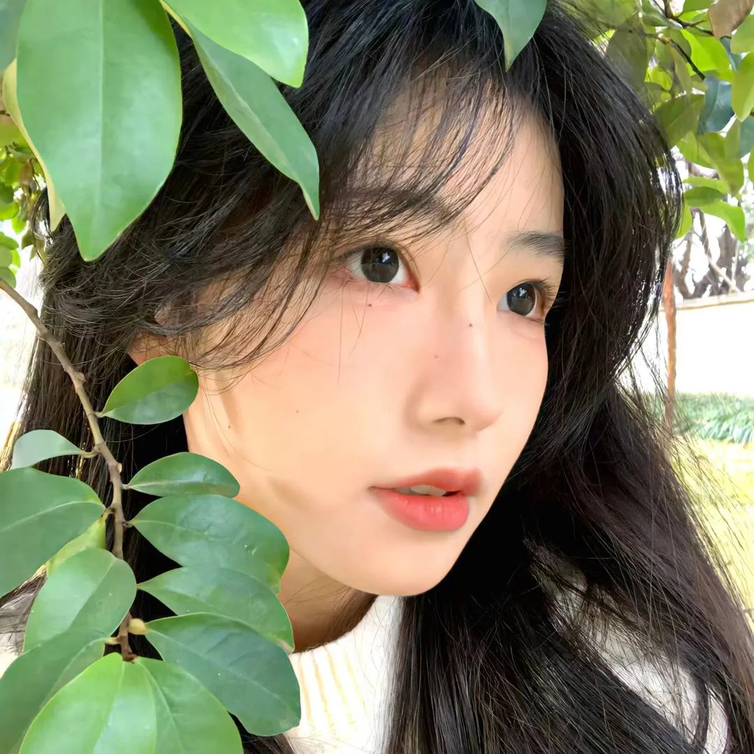 兄弟同体